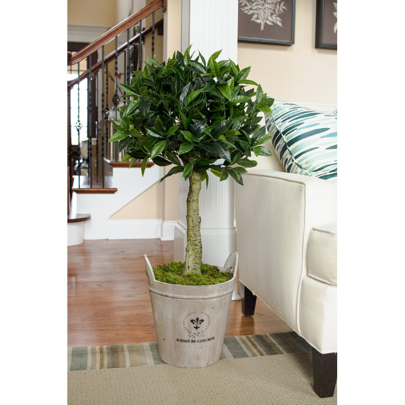 Lark Manor 28" Artificial Boxwood Topiary in Planter Wayfair